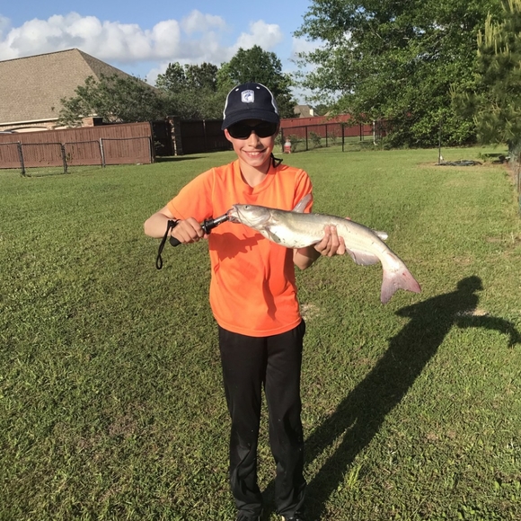 Nothing - Picture 5 of 5